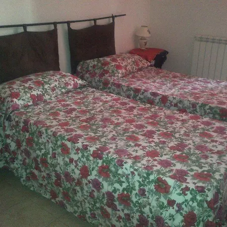 Dixi Bird Guesthouse