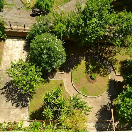 Dixi Bird Guesthouse