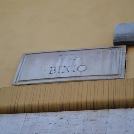 Dixi Bird Guesthouse