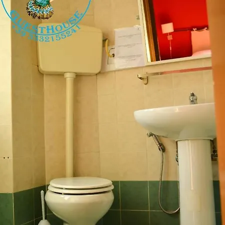 Dixi Bird Guesthouse Guest house 2*